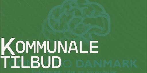 Kommunale tilbud til hjernerystelsesramte