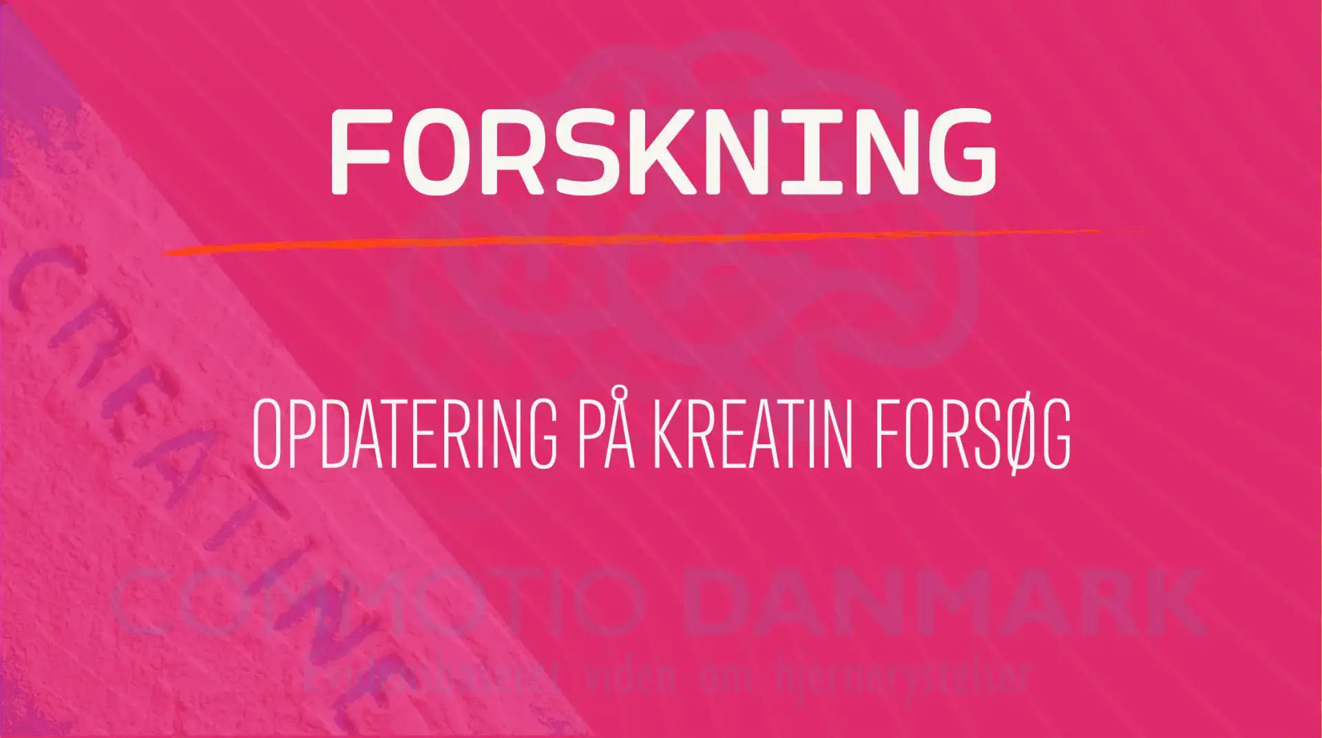 Kreatin-forsøg: Opdatering