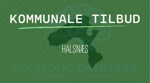 Tilbud til hjernerystelsesramte i Halsnæs Kommune
