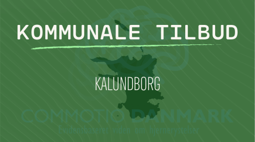 Tilbud til hjernerystelsesramte i Kalundborg Kommune