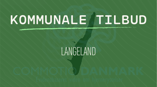 Tilbud til hjernerystelsesramte i Langeland Kommune