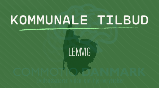 Tilbud til hjernerystelsesramte i Lemvig Kommune
