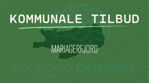 Tilbud til hjernerystelsesramte i Mariagerfjord Kommune
