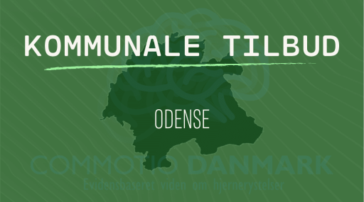 Tilbud til hjernerystelsesramte i Odense Kommune