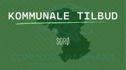Tilbud til hjernerystelsesramte i Sorø Kommune